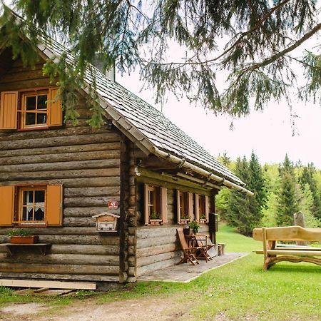 فيلا Wood House Irena-Pocitniska Hisa بوينج المظهر الخارجي الصورة